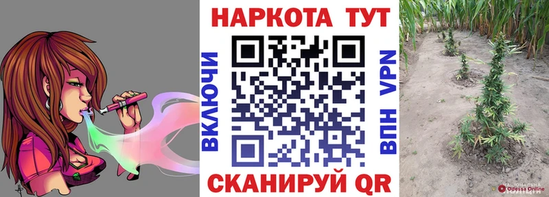 Виды наркотиков купить Гаджиево APVP  ГАШ  Канабис  Cocaine 