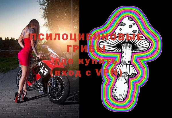винт Алексеевка