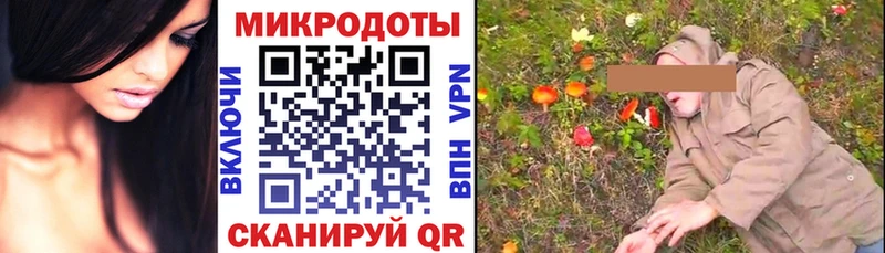 hydra ссылка Гаджиево Галлюциногенные грибы прущие грибы